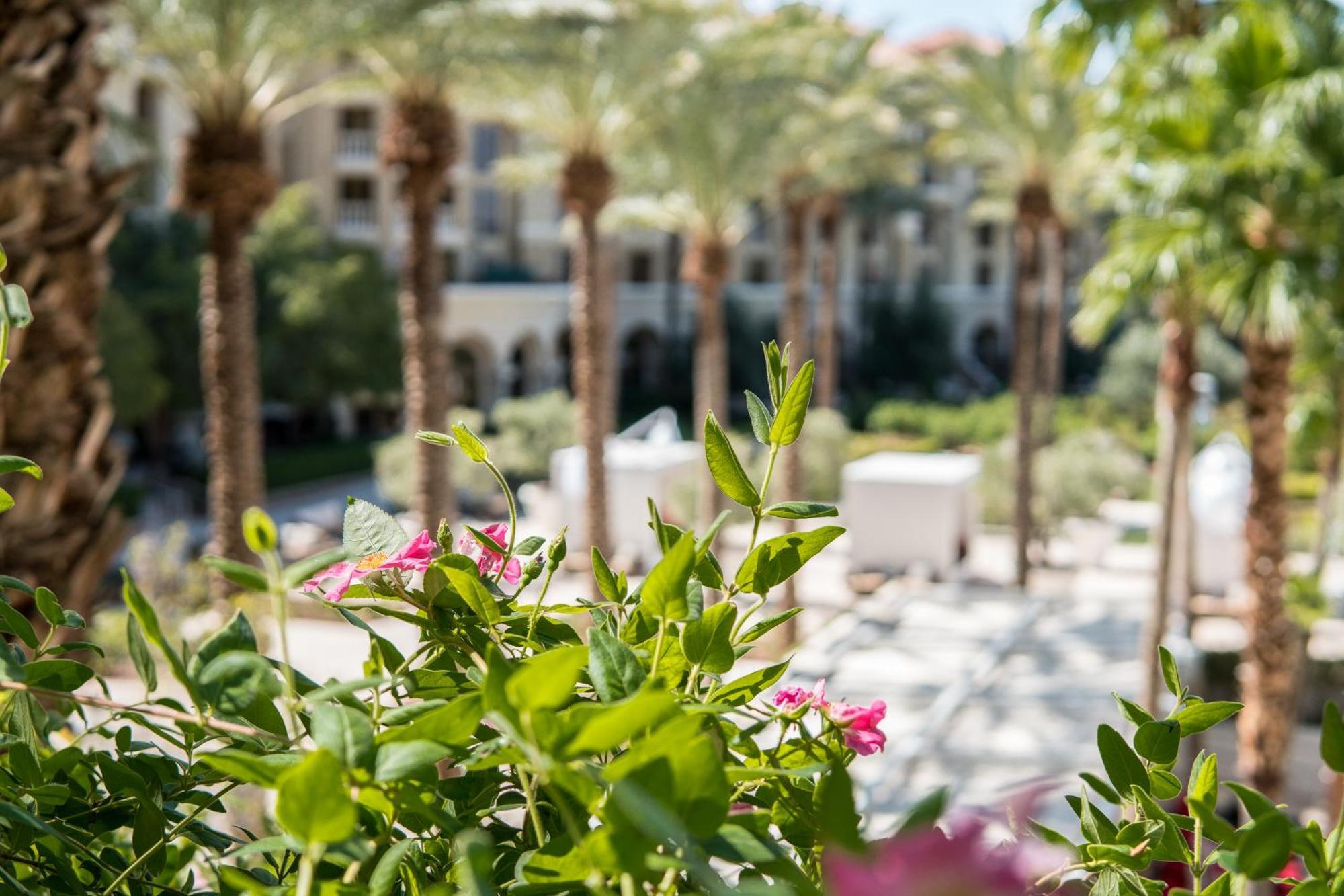 Green Valley Ranch Resort Spa Casino Las Vegas Buitenkant foto